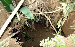 Sau mưa, hố sâu 10m xuất hiện trong vườn