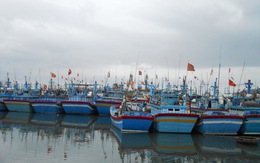Bình Định: kêu gọi gần 7.600 tàu cá tránh trú áp thấp