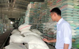 Xuất khẩu gạo 2012:  Lượng tăng, giá trị giảm