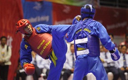 12 võ sĩ VN dự giải vovinam châu Á