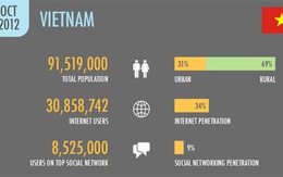 30,8 triệu người Việt Nam sử dụng Internet