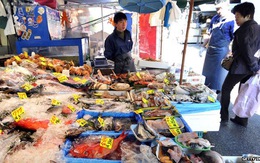 Nhật Bản: nồng độ phóng xạ trong cá vẫn cao