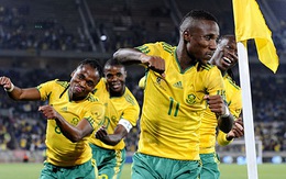 FIFA cảnh cáo LĐBĐ Nam Phi