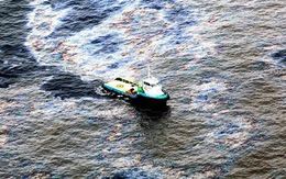 Tràn dầu ra biển, Chevron nộp phạt 150 triệu USD