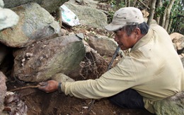 Truy lùng thuốc "trị ung thư"