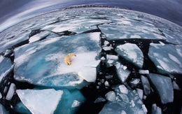11 ảnh khoa học và môi trường nổi bật nhất 2012