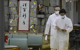 Nhật Bản: bùng phát dịch norovirus, hơn 100 người bệnh