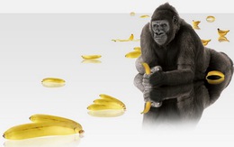 Video "tra tấn" thử độ bền màn hình Gorilla Glass 3