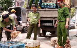 "Bêu tên" thực phẩm dưới chuẩn