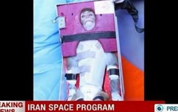 Iran đưa khỉ lên vũ trụ, phương Tây lo ngại