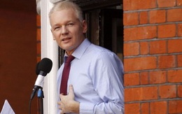 Nếu thắng cử, Julian Assange sẽ thôi ẩn náu