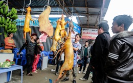 Thịt thú rừng bán tràn lan ở chùa Hương