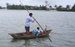 Lụt trái mùa, hàng ngàn hecta lúa bị ngập