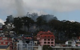 Đà Lạt: Cháy rừng thông trong phố