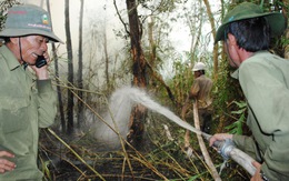 Cà Mau: cháy rừng tràm rừng U Minh
