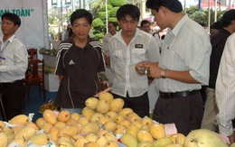 Nhiều loại trái cây Việt lên kệ siêu thị Nhật