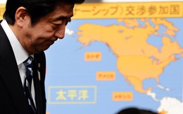 "Canh bạc lớn" của chính phủ Abe