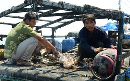 Trung Quốc tấn công tàu Quảng Ngãi: sai trái và vô nhân đạo