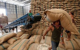 Thái Lan sẽ bán lỗ 500.000 tấn gạo?