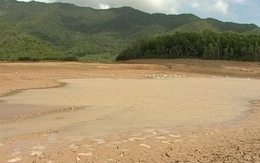 Bình Định: 117/161 hồ chứa nước đã hết nước