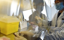 Nhật, Hong Kong tăng cường giám sát virus H7N9