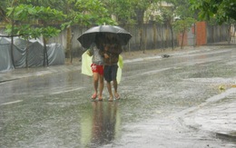 Bình Định: "mưa vàng" trên diện rộng