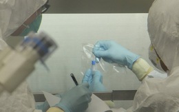 WHO điều tra xác định nguồn gốc virus H7N9
