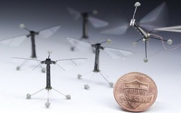 Robot bay nhỏ nhất thế giới