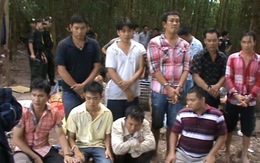 Bắt 57 con bạc sát phạt trong rừng tràm
