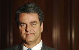 Roberto Azevedo trở thành tân tổng giám đốc WTO