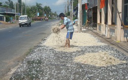 Phơi lông vịt gây ô nhiễm