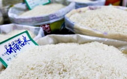 Trung Quốc điều tra nhà máy sản xuất "gạo độc"