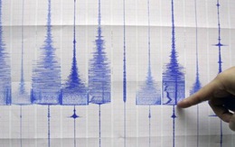 Động đất 7,4 độ Richter ở Tonga, cảnh báo sóng thần