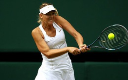 Cơ hội vàng của Sharapova