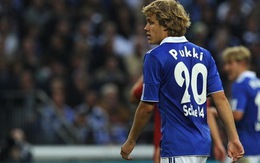 Pukki mang một điểm về cho Schalke