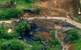 Brazil báo động dầu tràn từ Ecuador