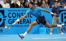 Del Potro và David Ferrer vô địch tuần