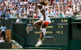 "Trật tự" được thiết lập ở Wimbledon