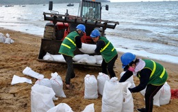 Hàng trăm công nhân, ĐVTN làm sạch bãi biển sau sự cố tràn dầu