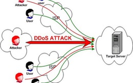 Diệt bot tấn công DDoS vào các báo mạng Việt Nam