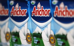 Thêm bê bối sữa New Zealand nhiễm nitrate