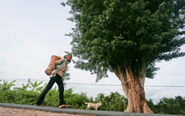 Về nhà