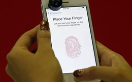 Nghị sĩ Mỹ lo ngại tính năng bảo mật vân tay trên iPhone 5S
