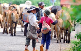 Những chàng du mục nhí