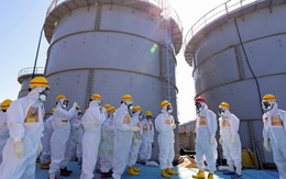 Rào chắn phóng xạ ở nhà máy Fukushima có lỗ hổng