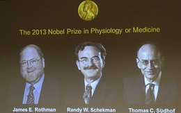 3 nhà khoa học Mỹ, Đức chia nhau giải Nobel y khoa 2013