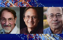 Nobel Hóa học 2013 tôn vinh ba chuyên gia hóa học phân tử