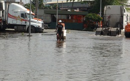TP.HCM: triều cường tràn bờ bao, hơn 100 nhà dân ngập nước