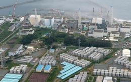 Mưa lớn, Nhà máy Fukushima Daiichi lại rò rỉ phóng xạ