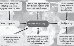 Thả nổi sữa ký